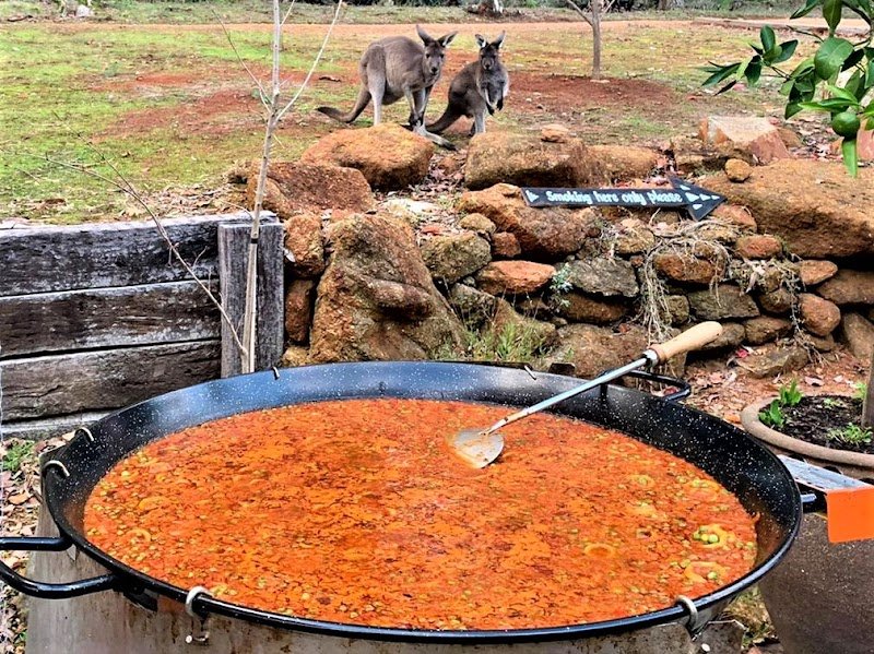 Paellas and Tapas Traditional Catering photo 9